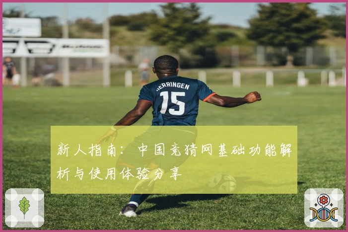 新人指南：中国竞猜网基础功能解析与使用体验分享