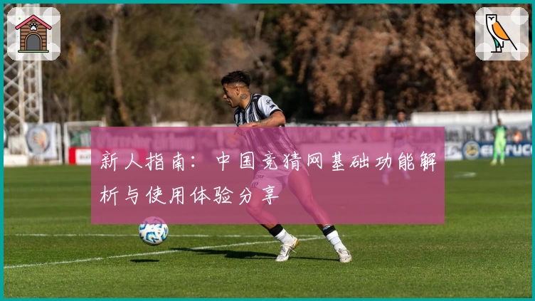新人指南：中国竞猜网基础功能解析与使用体验分享