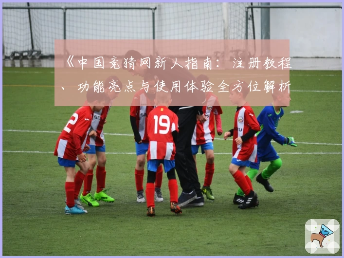《中国竞猜网新人指南：注册教程、功能亮点与使用体验全方位解析》